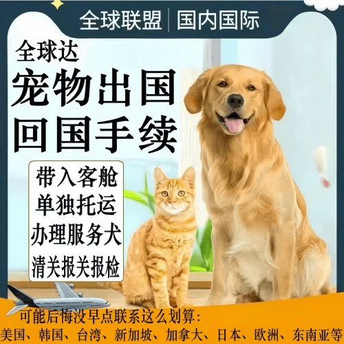 新乡市宠物托运到柬埔寨宠物入境规定和要求