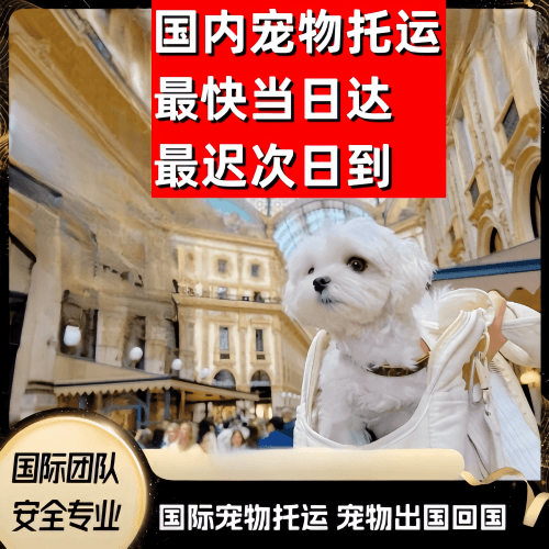 新乡市到澳大利亚（澳洲）宠物入境规定和要求